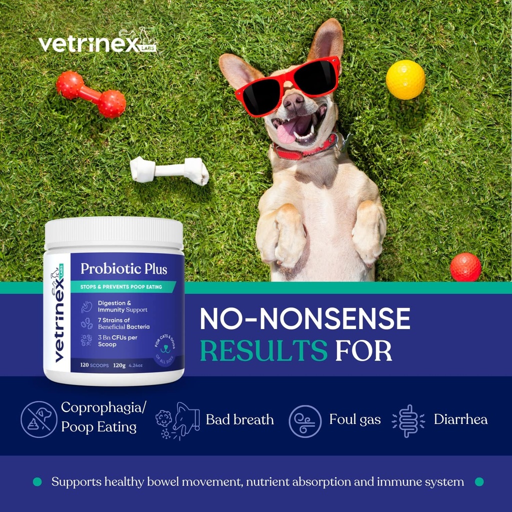 Coprophagia Poop Τρώγοντας Deterrent & Prevention, Stop & Prevent Stool Taining Treatment - Προβιοτικά για σκύλους, γάτες και κουτάβια - Forbids Dog from Eating Poop - Probiotic Powder (120 GMS)