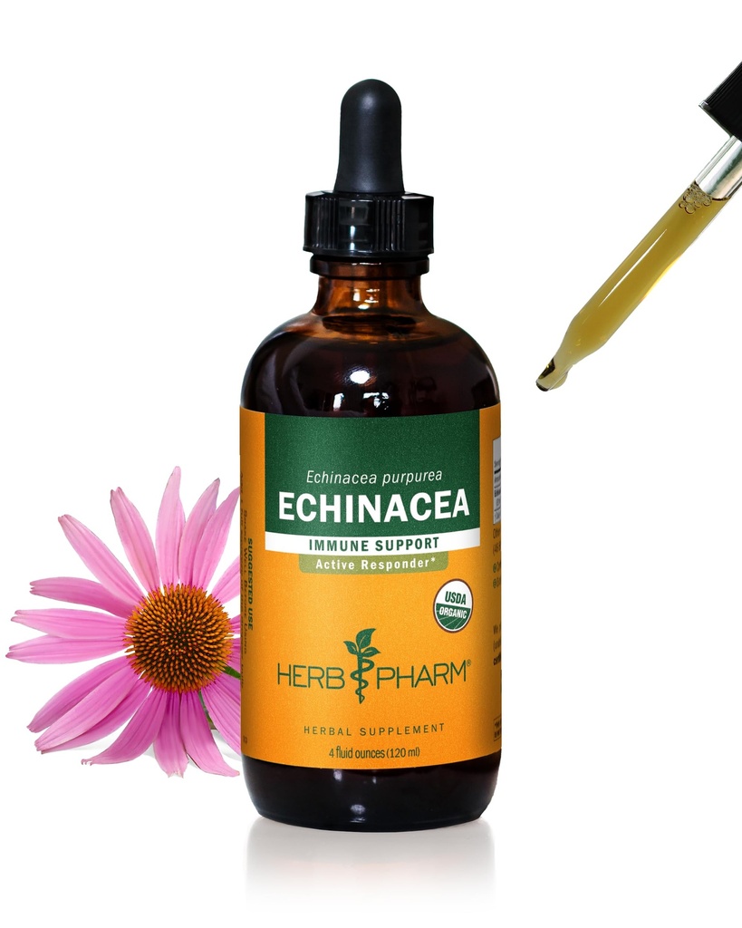 Herb Pharm Certified Organic Echinacea Root Liquid Extract for Immune System Support, Organic Cane Alcohol, 4 Fl Oz - Packaging May Vary