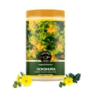 TEACURRY Gokshura (125 Gram Pack) - Βοηθά στην ενίσχυση της ενέργειας και της ζωτικότητας, υποστηρίζει την ευεξία των νεφρών προωθεί τη συνολική ευεξία - Chota Gokhru