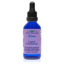 Eidon Ionic Minerals Liquid Zinc Concentrate - Ionic Zinc Supplement Drops for Adults and Kids, Support Immune System, Hair and Skin, Liver and Kidney Health, Relives Stress - 2 oz