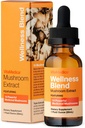 VitaMedica 