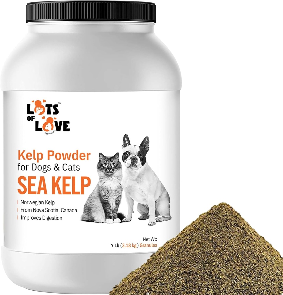 Βιολογικό Kelp σκόνη (7 Λίρες, 3.2 KG), Iodine και Thyroid υποστήριξη για το σκύλο & γάτα, Νορβηγική Kelp σκόνη συμπλήρωμα από πολλά αγάπη