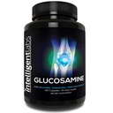 Ευφυές Εργαστήριο Glucosamine και Chondroitin υψηλής αντοχής Complex με MSM 