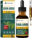 Uva Ursi Bearberry Φυσικές διουρητικές σταγόνες, ουρική υγεία & καθαρισμός νεφρών Detox συμπλήρωμα βοτάνων Υποστήριξη UTI & νερό μακριά, εκχύλισμα W/Dandelion ρίζας Cranberry, Αλκοόλ-ελεύθερος βάμμα.2oz