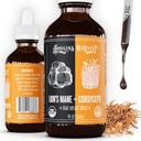 Hodgins Harvest Organic Lion's Mane + Cordyceps Βάμμα 