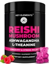 Natural Reishi Mushroom Gummies & L Theanine with Ashwagandha - Potent Mushroom Συμπληρώματα για την υποστήριξη του ανοσοποιητικού, την ανακούφιση από το άγχος και τη βελτίωση των Gummies ύπνου - Ashwagandha Gummies για γυναίκες και άνδρες