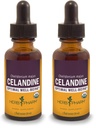 Βότανο Pharm Certified Organic Celandine Liquid Extract - 1 ουγγιά (πακέτο του 2)