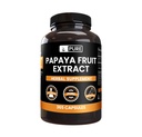 PURE ORIGINAL INGREDIENTS Papaya Extract (365 κάψουλες) Όχι Μαγνήσιο ή Ρύζι Fillers, Πάντα καθαρό, Εργαστήριο Επαληθευμένο