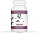 Βότανο Emporium Alfalfa (Medicago Sativa L, Alpalpa) Κάψουλες 90 Καψάκια λαχανικών (340 mg) Βότανο Συμπλήρωμα για Υγιεινή Πέψη (Pack of 1)