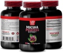 συμπληρώματα εστίασης και μνήμης - MUCUNA PRURIENS Extract, Velvet Beans, συμπληρώματα υποστήριξης εγκεφάλου για τη μνήμη και την εστίαση, συμπληρώματα mucuna pruriens, συμπληρώματα l-dopa, εκχύλισμα mucuna 1 Μπουκάλι 60 Caps