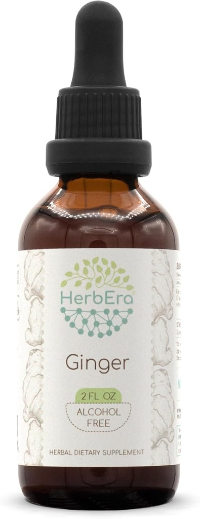 HerbEra Ginger B60 Εκχύλισμα χωρίς αλκοόλη Βάμμα βοτάνων, Super-Concentrated Ginger (Zingiber officinale) 2 fl oz