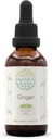 HerbEra Ginger B60 Εκχύλισμα χωρίς αλκοόλη Βάμμα βοτάνων, Super-Concentrated Ginger (Zingiber officinale) 2 fl oz
