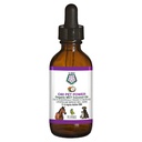 C60 Power for Pets - C60 in Organic MCT Coconut Oil, Natural Wellness Support for Dogs & Cats, Pure Carbon Fullerenes, Promotes Healthy Aging, Energy, & Mobility - 2 fl oz Bottle