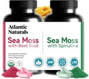 Atlantic Naturals Sea Moss Superfood Bundle - Sea Moss with Beet Root & Spirulina Capses - Αμυντική Υποστήριξη, Ροή αίματος, Κοινή Υγεία & Σίδερο - 240 Κάψουλες (2 x 120 ct)