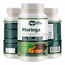 Moringa Tablets με Turmeric και Black Pepper, 300 Χάπια, 5 Μήνες Προμήθεια, 150 Serving, 1000 Mg ανά Υπηρεσία. Μία κάψουλα με πολλαπλά οφέλη - Υποστηρίζει Digestive Health (πακέτο του 1)