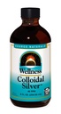 Πηγή Naturals Wellness Colloidal Silver 45 ppm, Υποστηρίζει τη φυσική ευεξία * - 8 ρευστό oz