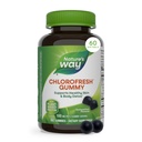 Ο Δρόμος της Φύσης Chlorophyll Chlorophyl Gummies, Υποστηρίζει το υγιές δέρμα και το σώμα Detox*, Εσωτερικό αποσμητικό*, Orchard Fruit Flavored, 60 Gummies