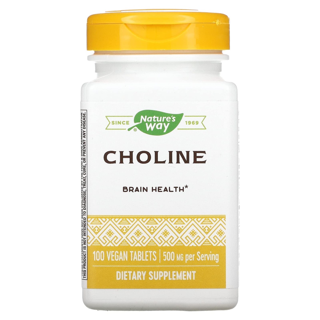 NATURE'S WAY Choline 500mg 100 Tablets