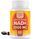 2000 MG NAD συμπλήρωμα, Λιποσωμική NAD+ με υψηλή απορρόφηση, πιο αποτελεσματική από Νικοτιναμίδη Ριβοζίδιο, Pure & Plus συμπλήρωμα ενίσχυσης, Άμυνας γήρανσης, Μεταβολισμός & Κυτταρικό, 60 softgels