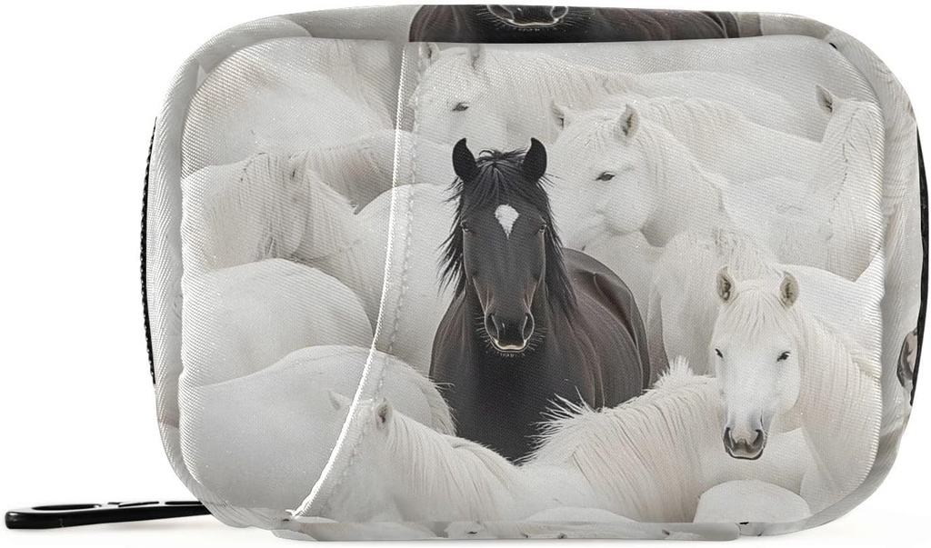Black Horse Group White Weekly Hill Organizer Small Pill Bag Portable Travel Pill Case 7 Days Κάτοχος Συμπληρώματος Βιταμίνης με Zipper για την οικογενειακή επιχείρηση Camping