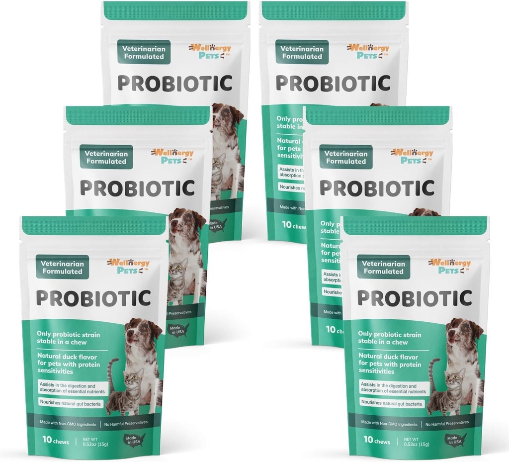 Wellnergy Daily Probiotic & Prebiotics Soft Chew for Dogs & Cats - Digestive support for Diarrhea, Constipation, Upset Στομάχι, Δυσπεψία & Αέριο - Βοηθά στην Πέψη, Αλλεργία Δέρμα & Ανοσοποιητική Υγεία 60ct