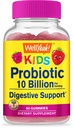 WellYeah Probiotics for Kids Gummies -10 Δισεκατομμύρια CFU - για την υγεία των ούλων, την ανοσοποιητική υγεία και την πειθαρχική υποστήριξη - Berry Flavor Chewable Supplement - Vegan, Non GMO, Gluten Free Kids Probiotic -60 Gummies