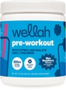 Wellah Get-Going Pre-Workout Drink Mix (Blue Raspberry Flavored, 30 Servings) - with Citrulline Malate and L-Theanine, 200mg of Natural Caffeine & 1000mg of Beta-Alanine