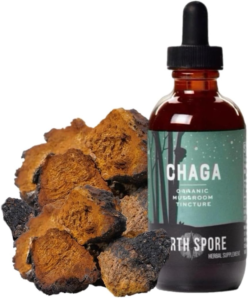 North Spore Chaga Mushroom Βάμμα 