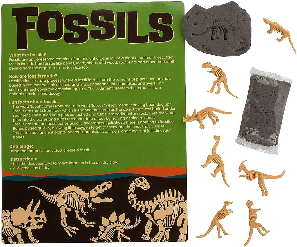 Fun Express Make Your Own Fossil Craft Kit - Makes 12