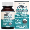 Βιολογικό συμπλήρωμα ιωδίου από το Sea Fegetry Complex, Whole Food & Raw Form - Iodine Plus Trace Mineral Complex – Περιέχει Purest ισλανδική θάλασσα Kelp, Irish Moss & Bladderwrack (250 mcg)