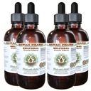 Selfheal Alcohol-free Liquid Extract, Organic Selfheal (Prunella Vulgaris) Αποξηραμένο Βότανο Συμπλήρωμα Γλυκερίτη Φυσικό βοτανικό, Hawaii Pharm, USA 4x4 fl.oz