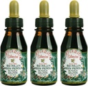 3 μπουκάλια Apiario Silvestre Bee Pollen & Βραζιλία Green Bee Propolis Liquid - Glycolic Extract-Non Alcoinic, Wax Free, Χωρίς ζάχαρη