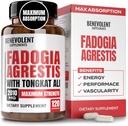 Fadogia Agrestis 1500mg [Υψηλή καθαρότητα] + BioPerine® για το συμπλήρωμα υψηλής απορρόφησης με Tongkat Ali - Αύξηση Stamina, Lean μυϊκή ανάπτυξη & αποκατάσταση, Boosts Drive 3ο μέρος δοκιμαστεί 120 κάψουλες