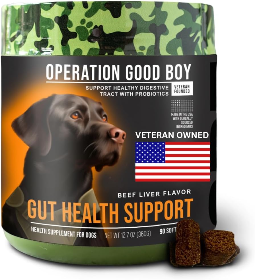 Λειτουργία Good Boy Probiotics for Dogs, Digestive Health Supplement for Pets, Daily Probiotic Chews – 90 μαλακές Θεραπείες, φυσικά συστατικά, Veteran Ιδιοκτησία - Μοσχάρι Γεύση