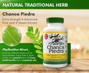 Chanca Piedra 500 mg 60 Καψάκια (Stonebreaker) - για Νεφρούς, Λίθου και Ούρων Υγεία, Νεφρική Λίθος Συμπλήρωμα