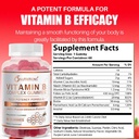 O NUTRITIONS Vitamin B Complex Vegan Gummies with Vitamin B12, B7 as Biotin, B6, B3 as Niacin, B5, B6, B8, B9 as Folate for Stress, Energy and Healthy Immune System (1 Pack)