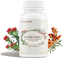 CheezhengHimalaya Rhodiola και Goji Berry ημερήσιο συμπλήρωμα, υποστήριξη ενέργειας, ψυχική ηρεμία, ενίσχυση της πέψης, ενίσχυση της ασυλίας, βελτιώνει τη χρήση οξυγόνου, Θιβετιανή φυσικά βότανα, 90 κάψουλες λαχανικά
