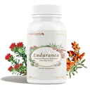 CheezhengHimalaya Rhodiola και Goji Berry ημερήσιο συμπλήρωμα, υποστήριξη ενέργειας, ψυχική ηρεμία, ενίσχυση της πέψης, ενίσχυση της ασυλίας, βελτιώνει τη χρήση οξυγόνου, Θιβετιανή φυσικά βότανα, 90 κάψουλες λαχανικά