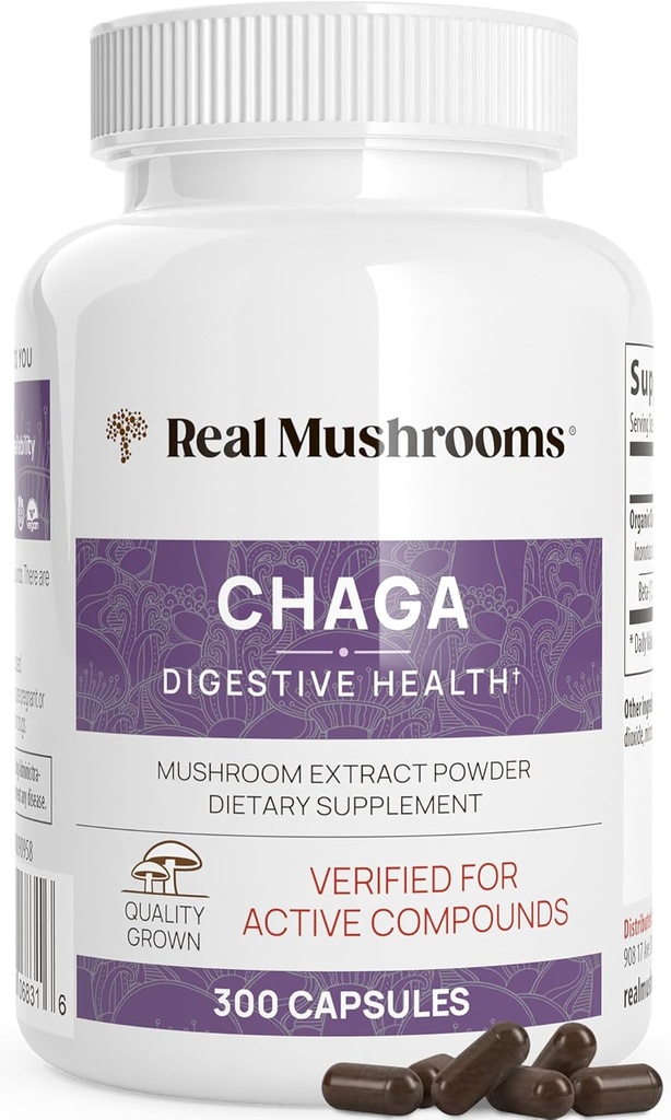 Real Mushroom Chaga Mushroom Capses – Βιολογικό Chaga Extract σκόνη με εκχύλισμα σκόνης για την ευεξία και την ενεργειακή υποστήριξη– Vegan, μη GMO, 300 κάψουλες – Βιολογικό συμπλήρωμα μανιταριών