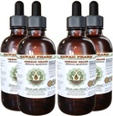 Hawaii Pharm Oregon Grape Liquid Extract, Oregon Grape (Mahonia aquifolium) Αποξηραμένη ρίζα Γλυκερίτης Φυσικό συμπλήρωμα βοτάνων, ΗΠΑ 4x4 fl.oz