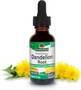 Απάντηση της φύσης Dandelion Root 2000mg 1oz Extract 