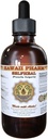 Selfheal Liquid Extract, Organic Selfheal (Prunella Vulgaris) Βάμμα, συμπλήρωμα βοτάνων, Hawaii Pharm, Made in USA, 4 fl.oz