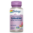 SOLARAY Turmeric Supplement 300 mg - Turmeric Root Extract με 95% Κουρκουμίνη - Κοινό συμπλήρωμα υποστήριξης για την κοινή υγεία και άνεση - μη-GMO, Vegan, Χωρίς γλουτένη, 60-ημέρα εγγύηση, 60 υπηρεσίες