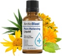 N Labs Arctic Blast Premium Topical Pain Relief DMSO, Menthol & Camphor για πλάτη, γόνατο, ώμο, αρθρώσεις και μυϊκό πόνο – Ψύξη Rub Formula – Made in USA – 1 fl oz