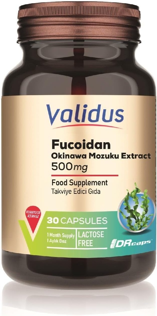 VALIDUS Fucoidan 500 mg 30 Καψάκια (Dr.caps)