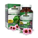 Απάντηση της φύσης Echinacea & Goldenseal 