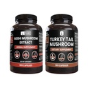 PURE Αρχική ΣΥΣΤΑΤΙΚΑ Reishi Mushroom & Turkey Tail Mushroom Capsule (365 Κάψουλες), Πάντα Αγνή, Χωρίς Πρόσθετα ή Γέμισμα