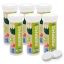 Drinklits Lemon Lime Electrolyte Fizzy Hydration Tablets (6) Tube Bundle | 0g Sugar - Natural Sports Drink - Essential Electrolytes | 60 Servings - 10 Tablets Per Tube