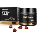 Organic Shilajit Gummies, Pure Himalayan Shilajit Gummies For Men Supplement, Gold Women，Natural 85+ Trace Minerals, Ashwagandha, Black Seed Oil Extract, 90 Gummies