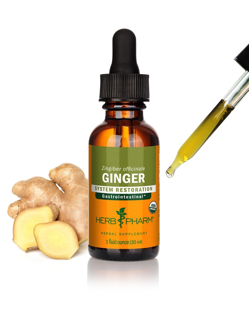 Βότανο Pharm Certified Organic Ginger Liquid Extract for Digestive Support - 1 ουγγιά